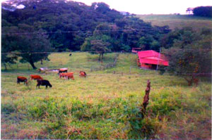 The ranch house lies a short distance below the Monteverde-Tilaran road.